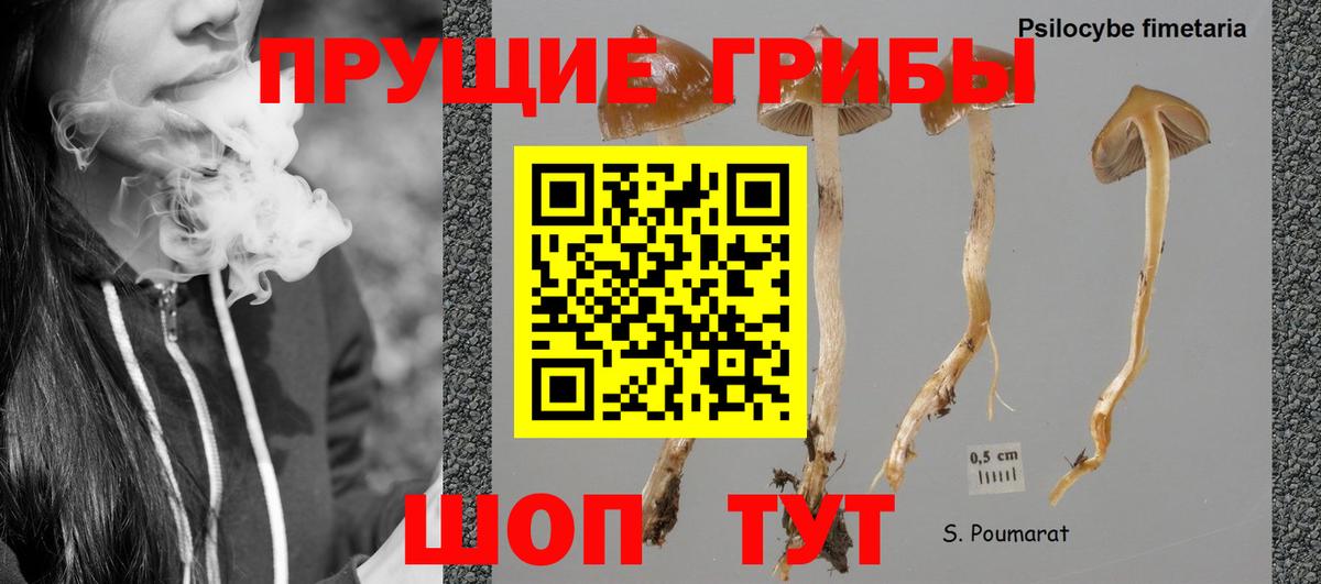 Северск  Галлюциногенные грибы мицелий  Вход с VPN 